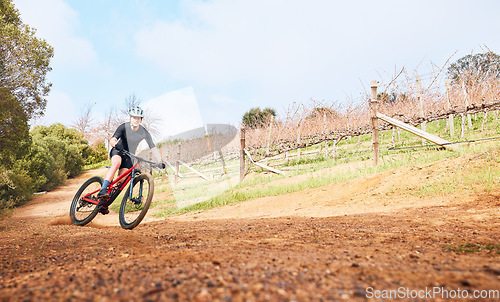 Image of Riding, nature and a man on a bike for cycling, fitness or practice for a race in the countryside. Adventure, sports and a cyclist on a bicycle for training, sports and outdoor cardio exercise