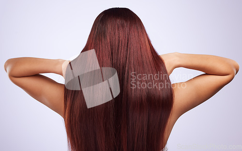 Image of Back, hair care or girl in studio for healthy natural shine, beauty or wellness on white background. Texture of glowing, hair style or woman with salon spa self care cosmetics in grooming for growth