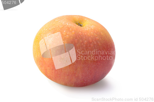 Image of Damp apple