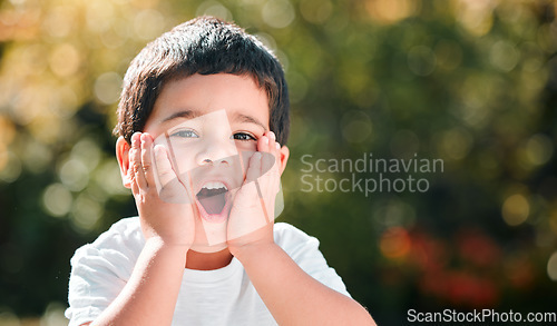 Image of Portrait, surprise and boy in a park with happiness and wow face on summer holiday. Shocked, comic and emoji facial expression of a young buy with bokeh and mockup in nature with youth and joy