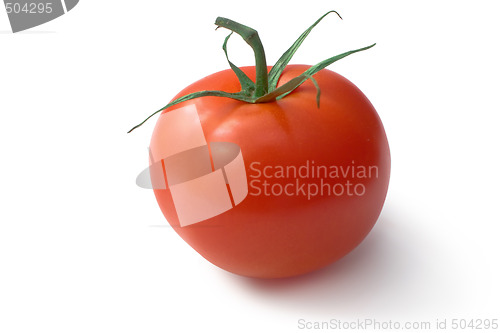 Image of Tomato