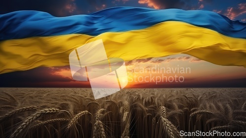 Image of Flag of Ukraine above wheat field