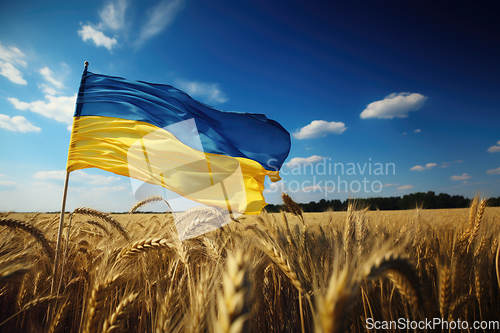 Image of Flag of Ukraine in wheat field