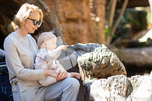 Image of Caucasian blonde mother holding her infant baby boy child in her lap watching crocodile in zoo. Happy family having fun with animals safari park on warm summer day