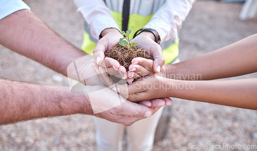 Image of Plants, group and people hands for outdoor gardening, agriculture and business growth collaboration in teamwork. Palm, sapling soil and women and man with sustainable, agro and climate change project