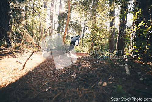 Image of Fitness, bicycle freedom and man outdoor on a forest path with extreme and exercise adventure. Bike, cycling and sport of an athlete with fast speed on ground for sports training and race action