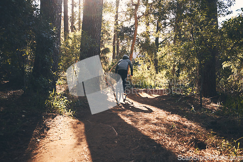 Image of Fitness, bicycle and man back outdoor on a forest path with extreme and exercise adventure. Bike, cycling and sport of an athlete with fast speed and nature cycle for sports training and race action