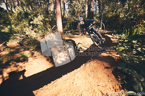 Image of Fitness, bicycle and man outdoor on a forest path with extreme and exercise adventure. Bike, cycling and sport of an athlete with fast speed and nature cycle for sports training and race action