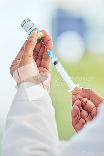 Image of Vaccine vial, needle and hands of doctor in a medicare hospital getting ready for a monkeypox treatment. Healthcare, injection and closeup of a medical worker with a virus vaccination in a clinic.
