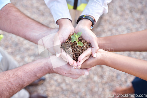 Image of Group of people, plant and hands outdoor gardening, agriculture and growth in collaboration and above teamwork. Palm sapling, soil and women with man in sustainable farming, agro or earth day project