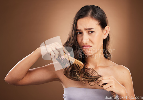 Image of Hair care, damage and portrait of sad woman with comb, studio background and problem in salon treatment. Haircare crisis, mockup and frustrated latino model with split ends, dry or damaged hairstyle.