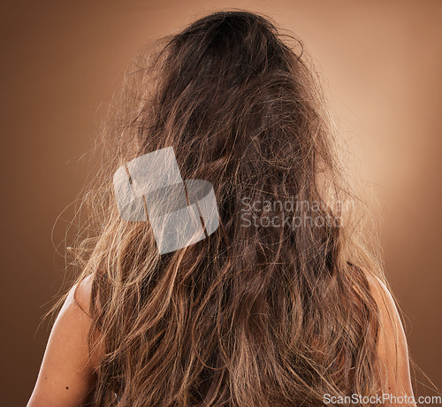 Image of Back, hair and frizzy with a woman in studio on a brown background for haircare or salon treatment. Repair, damaged and messy with a female at the hairdresser for keratin restoration or remedy