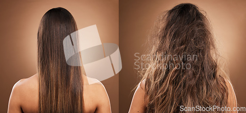 Image of Hair care, beauty and back of woman in studio with shiny, clean and messy dirty hairstyle. Health, texture and model with knots before keratin, Brazilian or treatment on a brown background