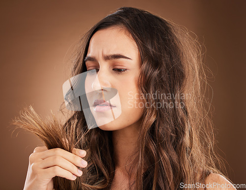 Image of Split ends, hair damage and woman in studio for frustrated, crisis and textures with salon treatment. Beauty, repair and haircut with female model on brown background for keratin and cosmetology