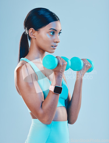 Image of Fitness, workout and woman with weights in a studio for a arm or strength training with motivation. Sports, health and Indian female athlete or model doing exercise while isolated by blue background.