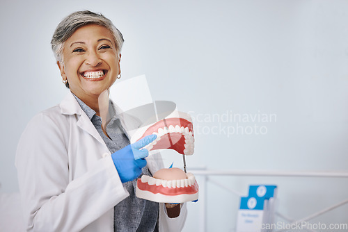 Image of Dentist, dentures and portrait of senior woman for dentistry, medical and dental service in clinic. Healthcare, happy and female worker point to mouth mold for oral health, teeth cleaning and cavity