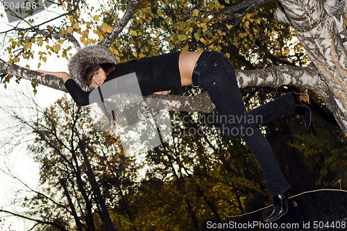 Image of The young woman hanging on a birch branch. A funny picture