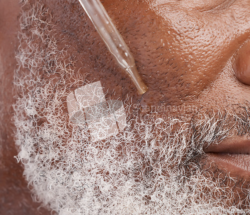 Image of Skincare, serum and face of senior man in studio for wellness, cosmetics and facial hair care. Dermatology, beauty and closeup of male person with oil dropper for anti aging, wrinkles and grooming