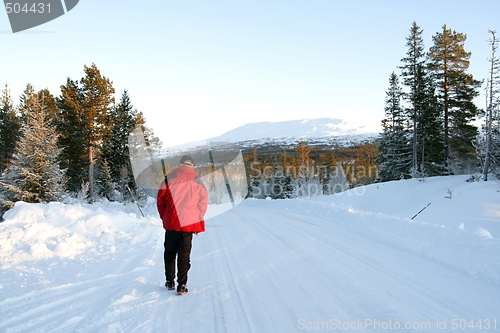 Image of Walking on a winter road