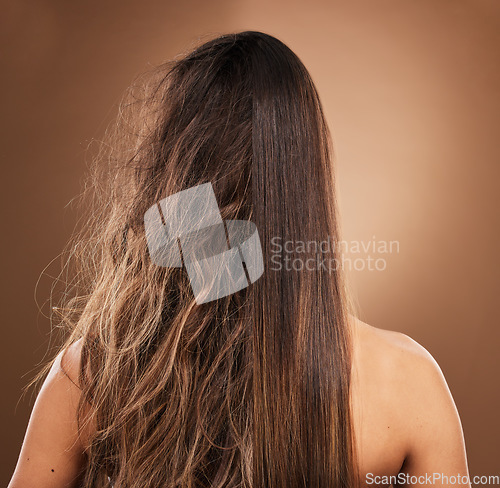 Image of Frizz, heat damage and hair of a woman isolated on a brown background in a studio. Back, salon treatment and lady showing results from keratin treatment, before and after a hairdresser procedure