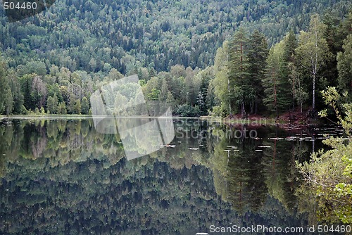 Image of Mirror reflection