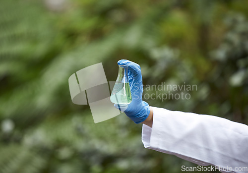 Image of Science, nature and scientist hand with beaker for liquid sample inspection, environment and ecosystem. Agriculture, biology and person with glass in forest for analysis, research and study mock up