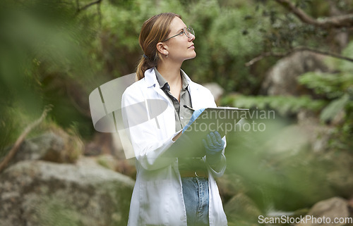 Image of Clipboard, nature and scientist woman in agriculture research, sustainability and checklist of climate change test. Plants, sustainable growth and thinking, inspection or science person writing notes