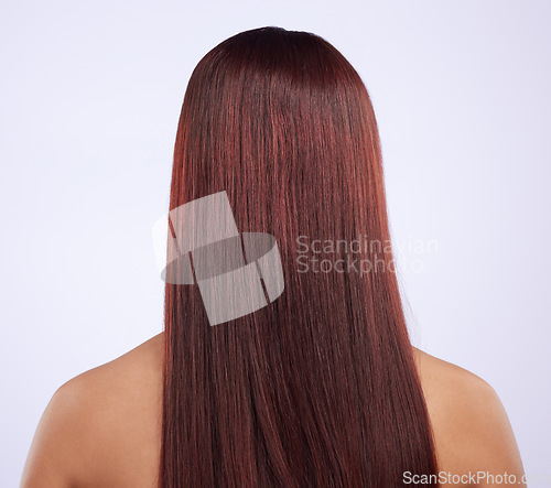 Image of Back of woman, smooth hair and beauty of shine, color dye and wig extension on studio background. Female model, head and scalp at hairdresser for healthy texture, growth shampoo and salon aesthetics