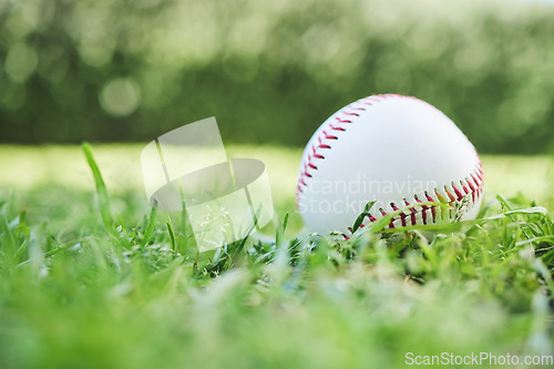 Image of Baseball, sports and fitness with a ball on the grass, closeup waiting for a game or competition. Earth, recreation and training with a softball on a lawn, pitch or grass for sport activity outdoor