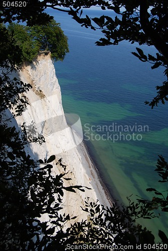 Image of The White Cliffs of Møn