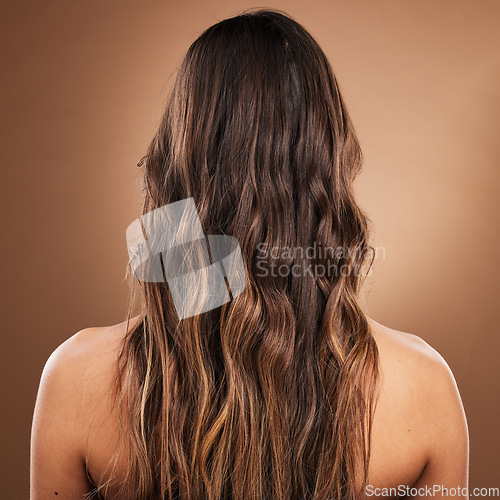 Image of Back, hair and beauty with a model woman in studio on a brown background for natural or keratin treatment. Aesthetic, salon and shampoo with a female customer at the hairdresser for luxury haircare