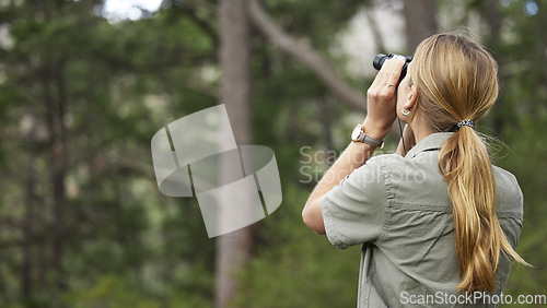 Image of Binoculars, forest and woman explore in nature, travel journey or outdoor adventure for carbon footprint research. Watch, search and back person birdwatching in jungle, woods or eco green environment