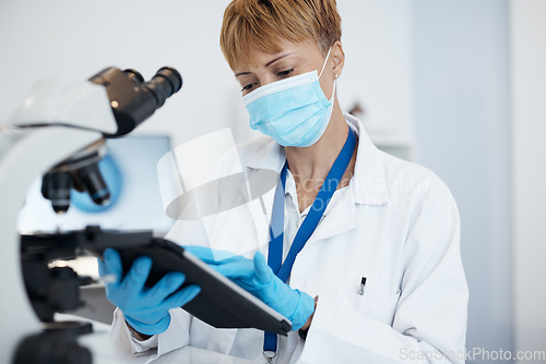 Image of Scientist, tablet and woman with mask in research for cure, results or data at the laboratory. Female medical or science professional working on technology in forensics for scientific search in a lab