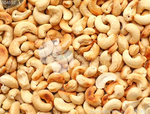 Image of Cashew