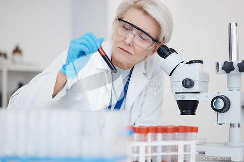 Image of Medical science, blood test and analysis with scientist woman a vial for dna or medicine research. Expert person in laboratory with tube sample or study for healthcare, chemistry or investigation