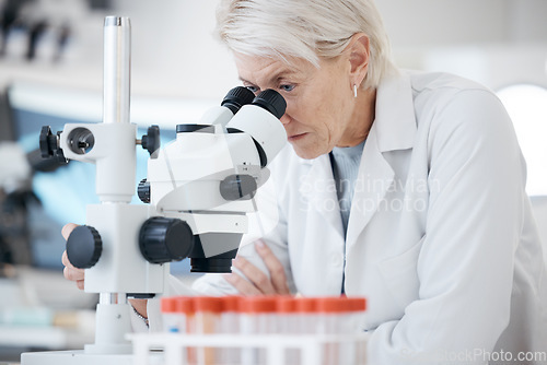 Image of Science woman, microscope and medical analysis in a laboratory with scientist for investigation or research. Expert person in lab with equipment for healthcare, medicine or biotechnology innovation