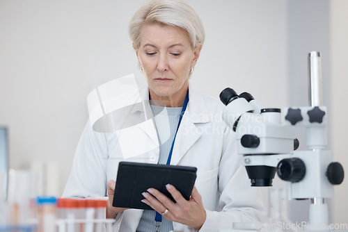 Image of Tablet, science and woman in laboratory for research or online for medical analysis with scientist results. A person in lab with mobile app for future healthcare, medicine or biotechnology innovation