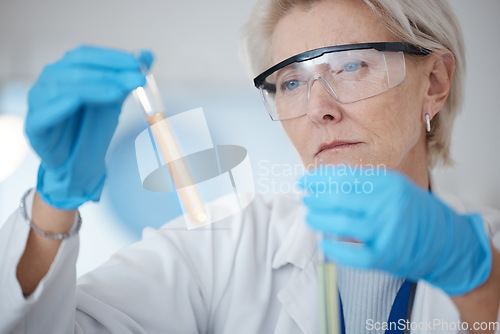 Image of Senior woman, scientist and holding DNA samples or chemical in experiment or testing with gloves in laboratory. Mature female in science discovery, research or test tubes for lab results in chemistry