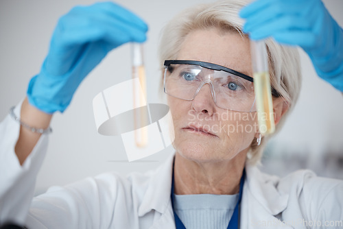 Image of Senior woman, scientist and vials in chemical experiment or testing concentration in laboratory. Mature female in science discovery or scientific research with test tubes for chemistry results in lab