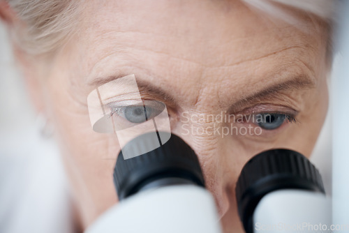 Image of Microscope, science and woman for medical analysis in a laboratory for investigation or research. Eyes of senior scientist person with equipment for biotechnology study, innovation or development