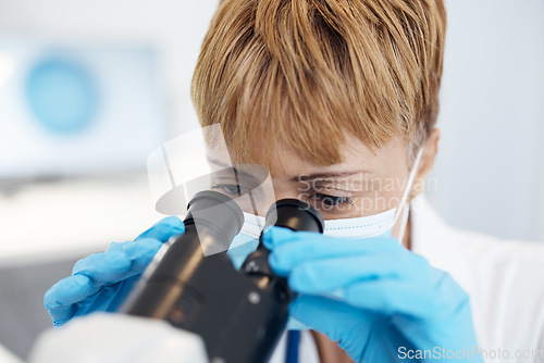 Image of Woman, scientist and microscope in forensics for discovery, breakthrough or scientific research in lab. Female medical professional or expert in healthcare or science examination or experiment