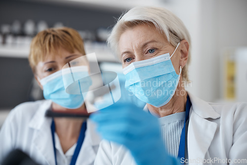 Image of Science women, face mask and virus in a laboratory with scientist team for investigation or research. Senior people in lab with test for innovation, future medicine or biotechnology study or analysis