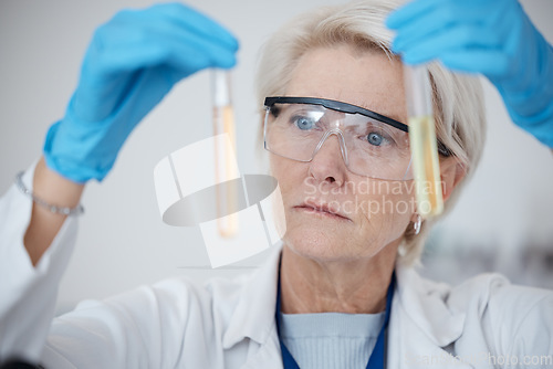 Image of Senior woman, scientist and DNA samples or chemicals for experiment or testing with gloves in laboratory. Mature female in science discovery or research with test tubes for chemistry results in lab