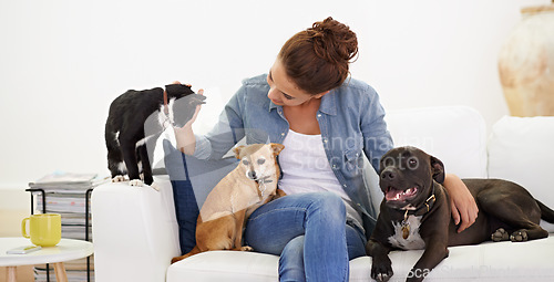 Image of Woman, sofa and happy with pet, cat and dog for care, love and bonding in home living room, playing and together. Girl, animal family and smile on lounge couch with happiness, lifestyle and house