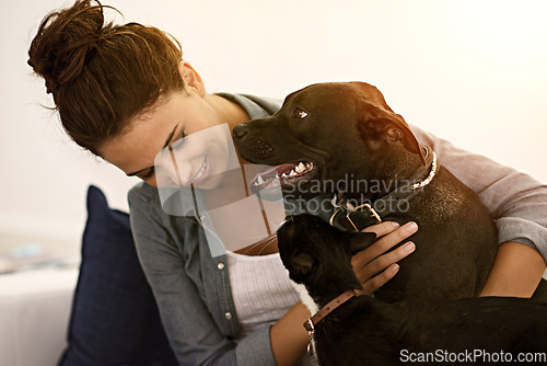 Image of Woman, happy dog and cat together on sofa or animals, smiling owner and physical affection, love and hugs. Girl, canine and feline pets and building quality relationship with care, play or hug