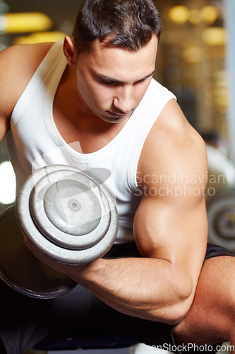 Image of Arm muscle, focus and man doing dumbbell workout, athlete fitness challenge or training for bodybuilding development. Health lifestyle, bicep gym equipment and male bodybuilder curling iron dumbbells