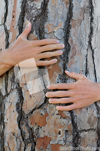 Image of Closeup, tree and person with a hug, protection and natural care with sustainability, environment and green energy. Zoom, human and nature lover with embrace, support the planet and eco friendly