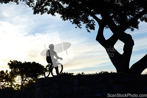 Image of Nature, silhouette and man riding a bicycle in a field for fitness, health and wellness exercise. Sports, workout and shadow of a male cyclist athlete cycling on a bike in an outdoor garden or park.