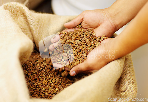 Image of Hands, production and coffee beans in a burlap sack for organic, natural and fresh caffeine. Industry, grain and closeup of a barista with raw ingredient to produce espresso or cappuccino in a cafe.