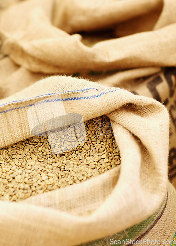 Image of Industry, natural and coffee beans in a burlap sack for rustic storage, import or packing. Production, texture and closeup of white grains of caffeine in a cloth bag for fresh, organic or raw product